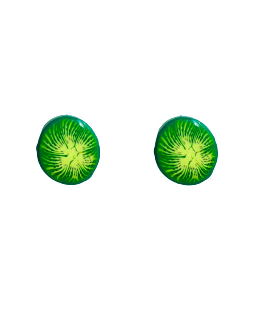 Kiwifruit Clay Stud Earrings Titanium Post